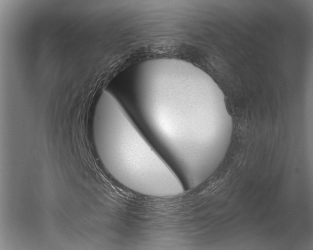 X0000052540817200507010816