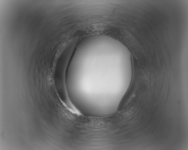 X0000052540818200507010816