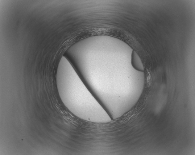 X0000052540819200507010816