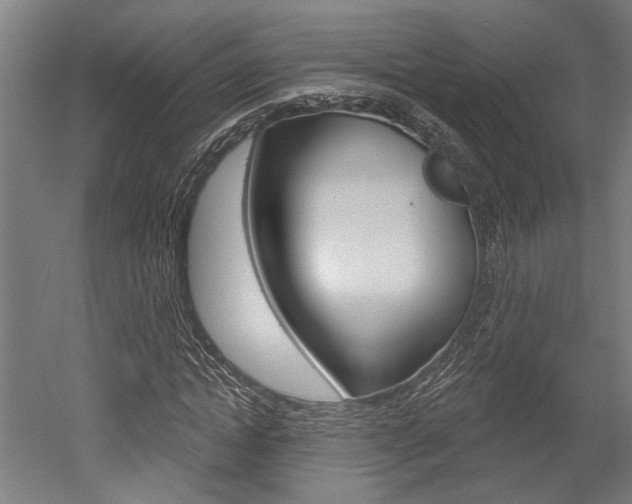 X0000052540822200507010816