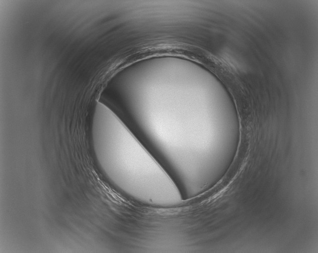 X0000052540825200507010816