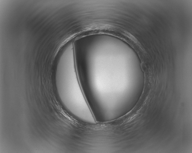 X0000052540826200507010816