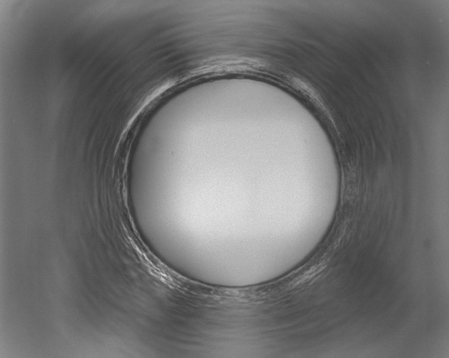 X0000052540827200507010816