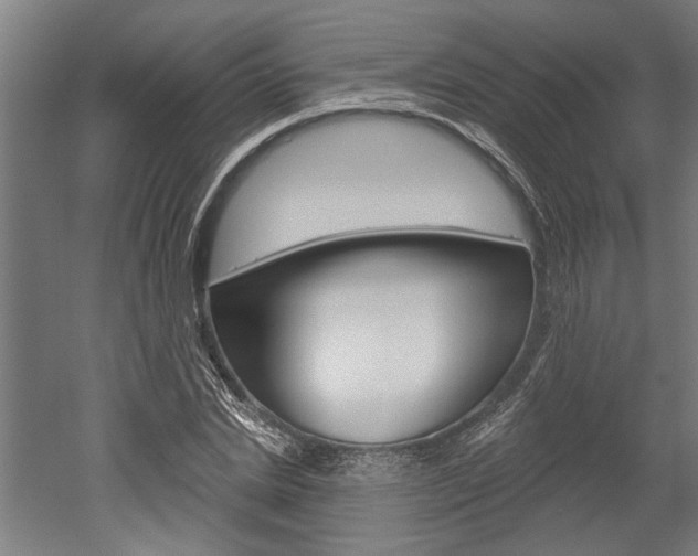 X0000052540830200507010816
