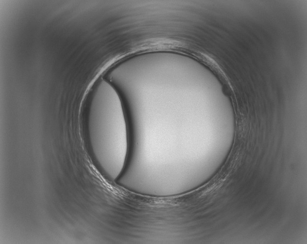 X0000052540835200507010817