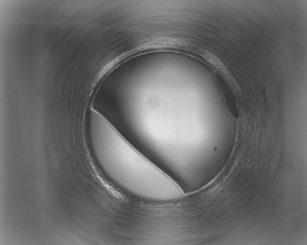 X0000052540842200507010817