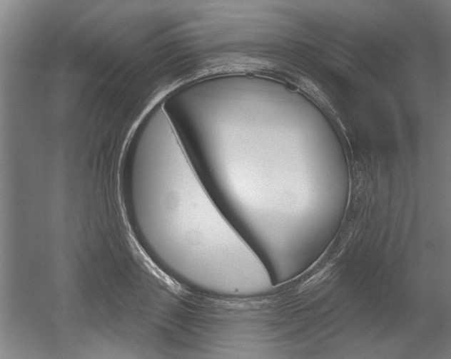 X0000052540843200507010817