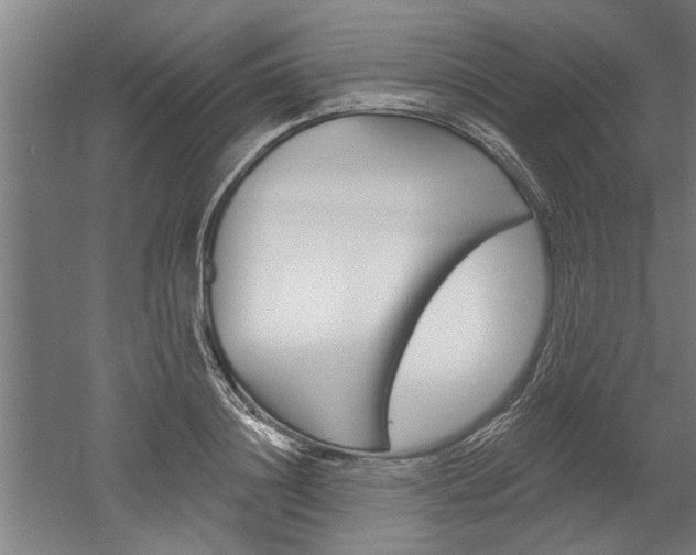 X0000052540844200507010817