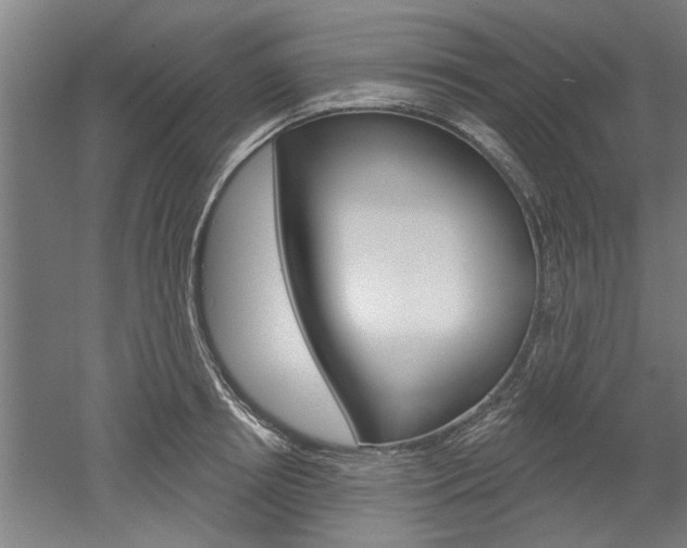 X0000052540850200507010817