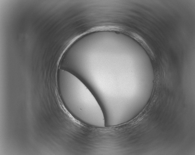X0000052540852200507010817