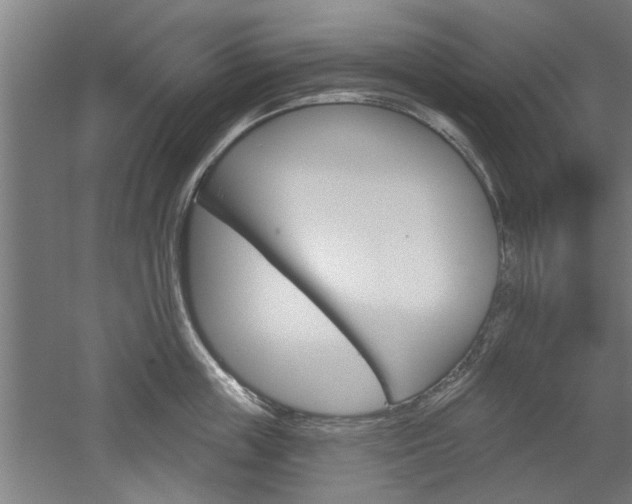X0000052540859200507010817