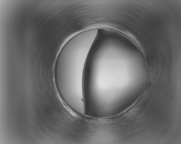 X0000052540862200507010817