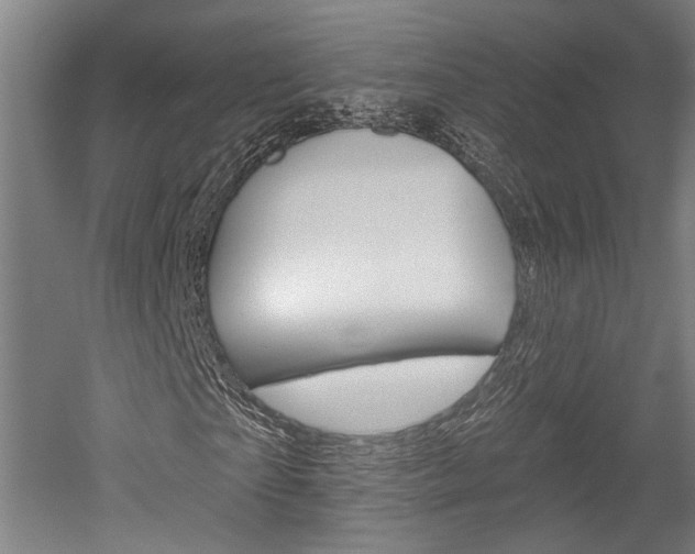 X0000052540865200507010816