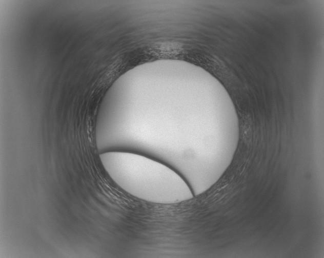 X0000052540866200507010816