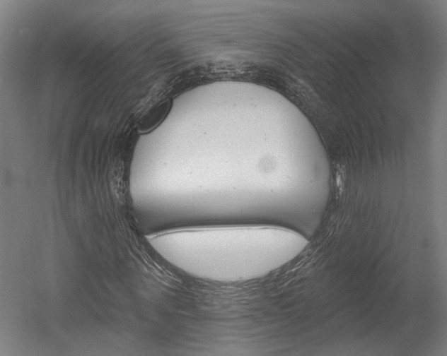 X0000052540867200507010816