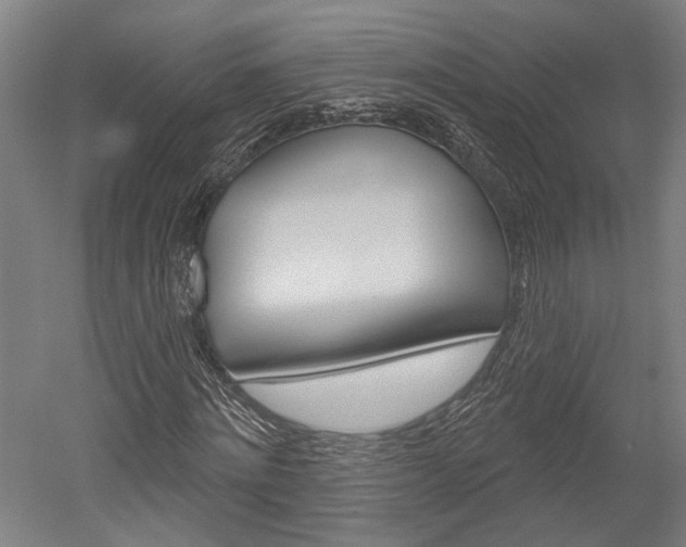 X0000052540868200507010816