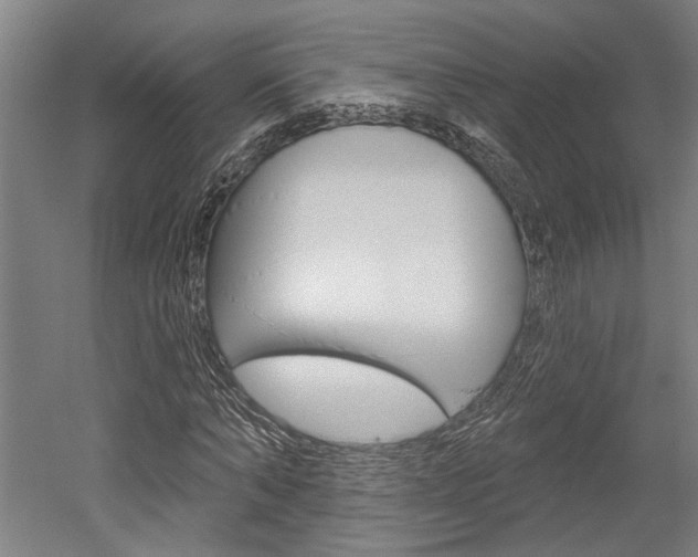 X0000052540870200507010816