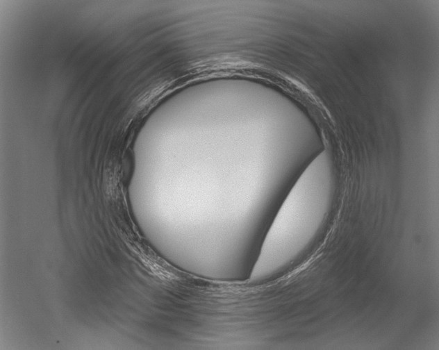 X0000052540873200507010816