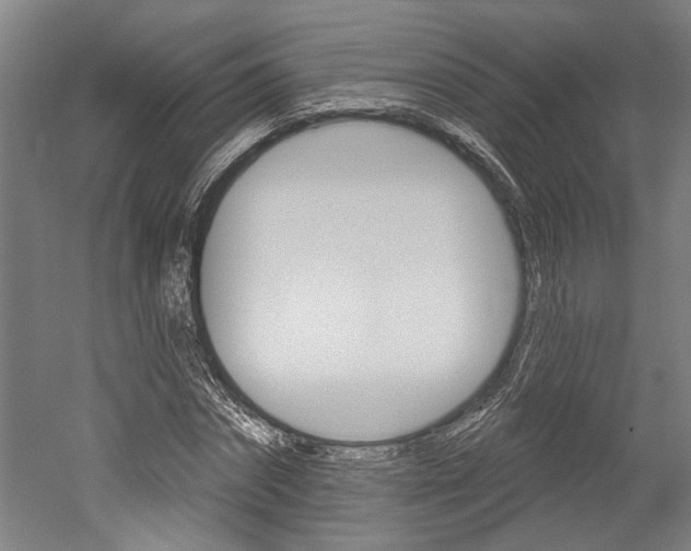 X0000052540874200507010816