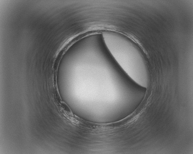 X0000052540877200507010816