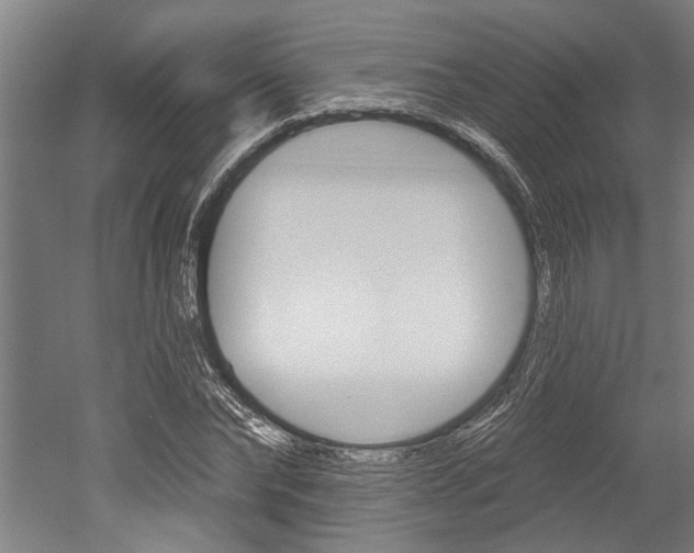 X0000052540878200507010816