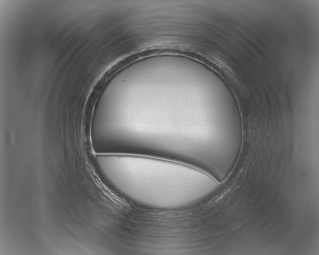 X0000052540880200507010816