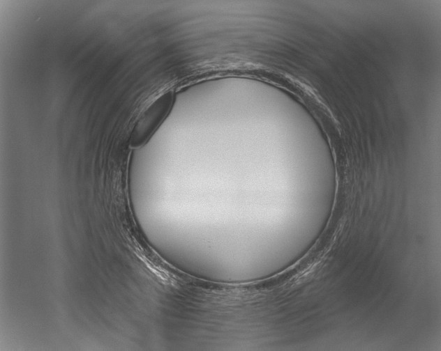 X0000052540881200507010816