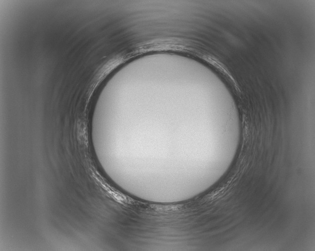 X0000052540882200507010816