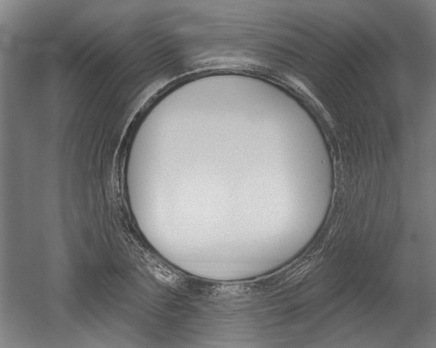 X0000052540883200507010816