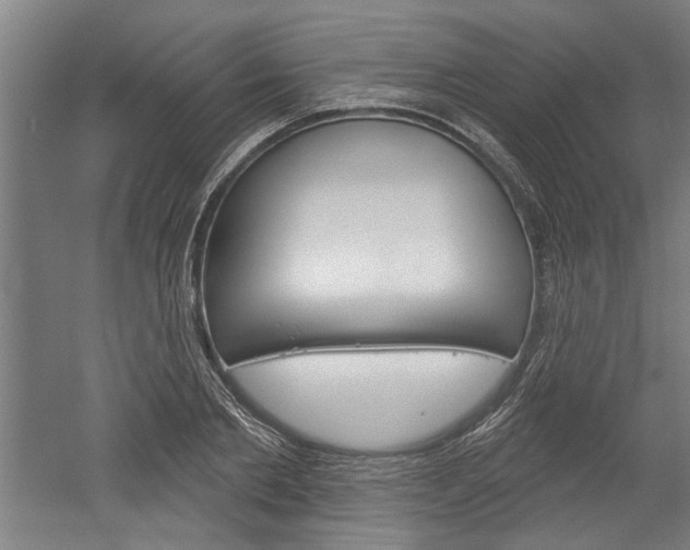 X0000052540885200507010816