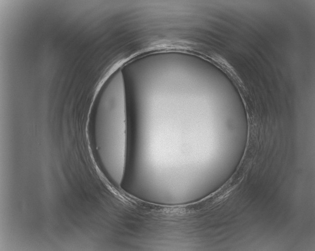 X0000052540893200507010816