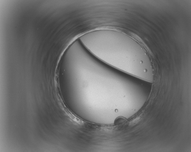 X0000052540908200507010815