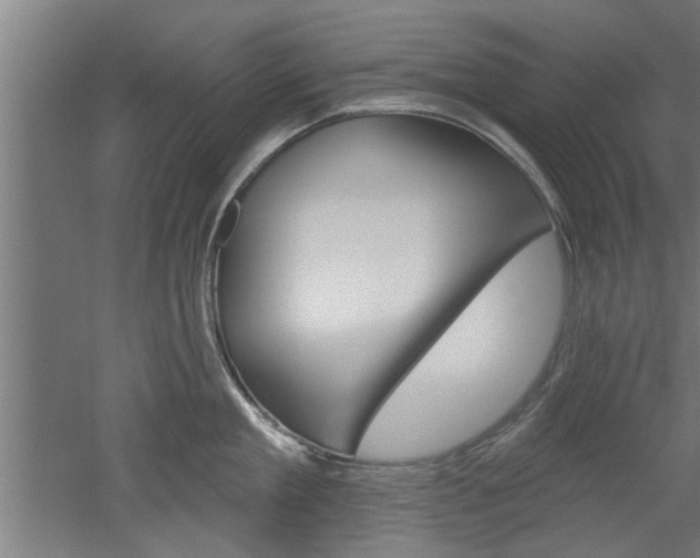 X0000052540909200507010815
