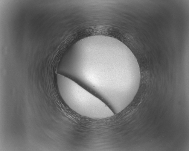 X0000052540913200507010815