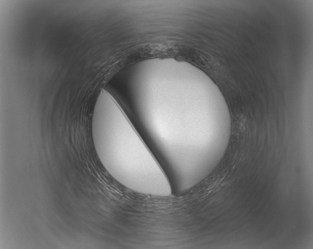 X0000052540914200507010815