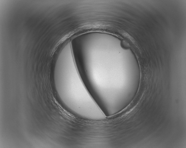 X0000052540922200507010815