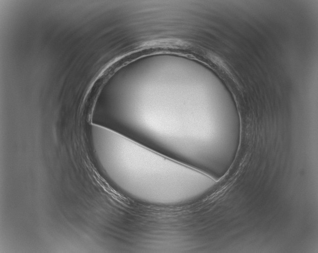 X0000052540923200507010815