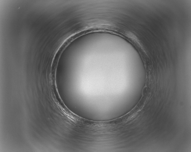 X0000052540924200507010815