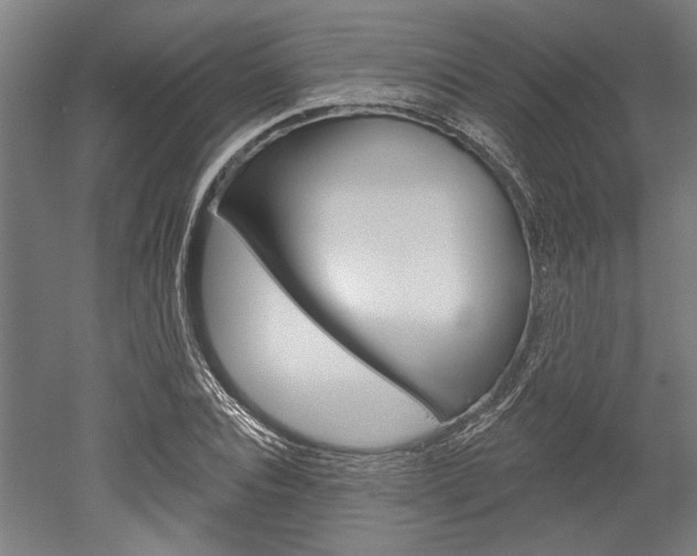 X0000052540928200507010815