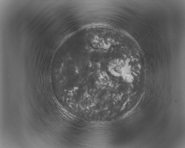 X0000052540929200507010815
