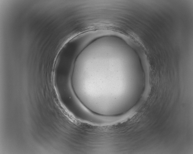 X0000052540932200507010815