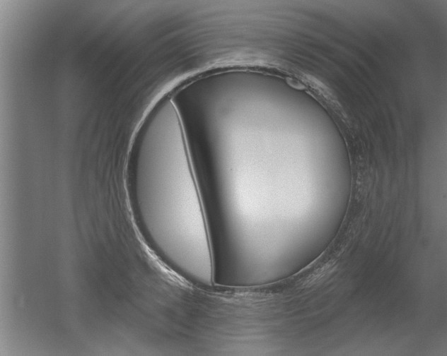 X0000052540942200507010815