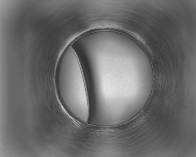X0000052540943200507010815