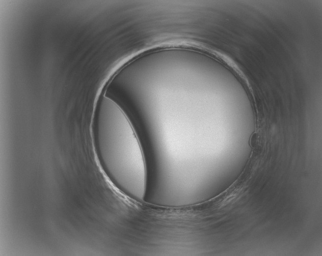 X0000052540951200507010815