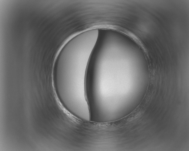 X0000052540955200507010815