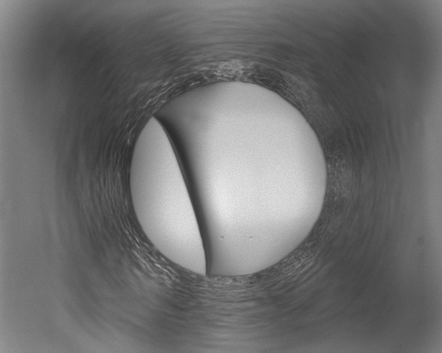 X0000052540962200507010815