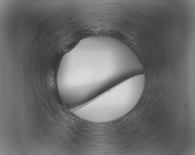 X0000052540963200507010815