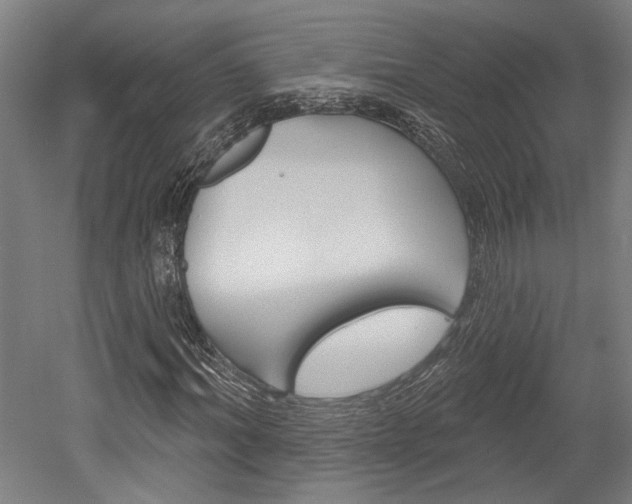 X0000052540964200507010815