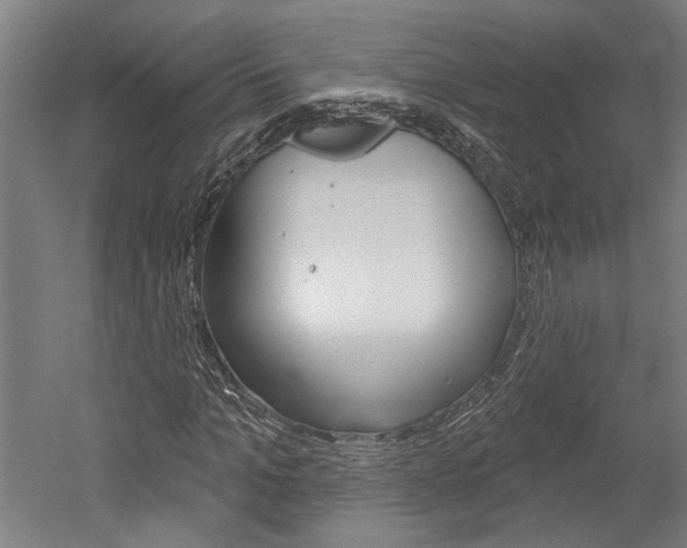 X0000052540965200507010815