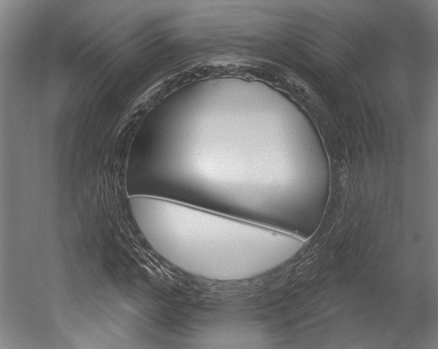 X0000052540968200507010814